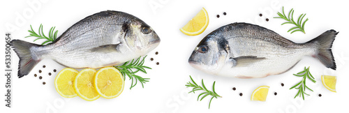 Photos Fish dorado isolated on white background with full depth of field