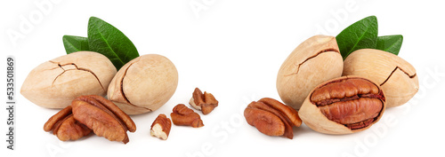 pecan nut with green leaves isolated on white background
