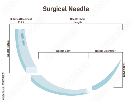 Surgical needle. Trihedral cross-sectional shape, double type