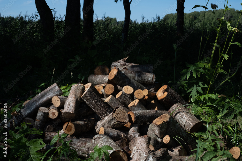 pile of sawn firewood on a background of green grass and trees on a sunny summer day with dark shadows pile of sawn firewood on a background of green grass and trees on a sunny summer day with dark shadows