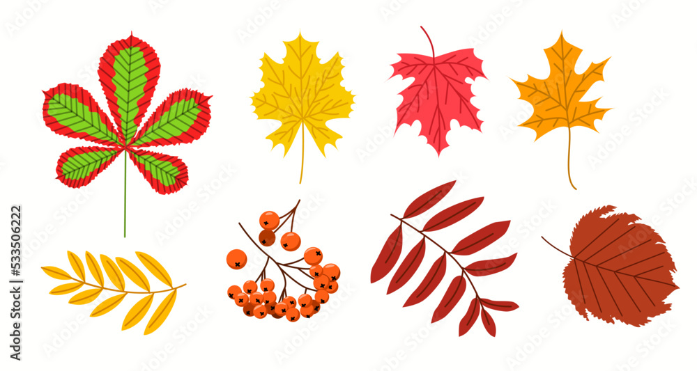 Fototapeta premium A large set of foliage. A group of autumn vector illustrations in a flat style.