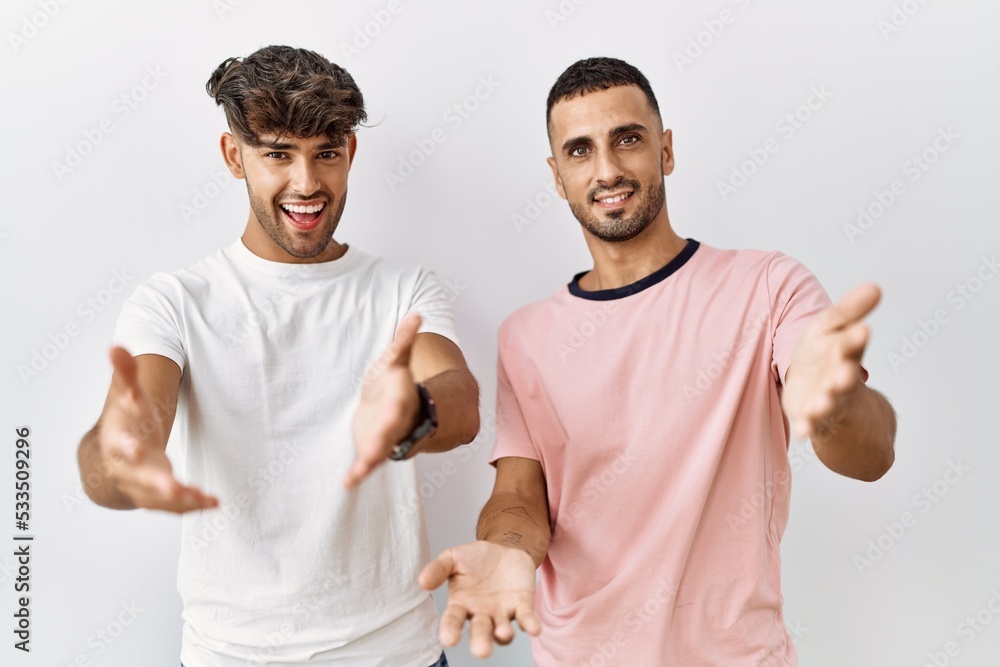 Young gay couple standing over isolated background smiling cheerful offering hands giving assistance and acceptance. Young gay couple standing over isolated background smiling cheerful offering hands giving assistance and acceptance.