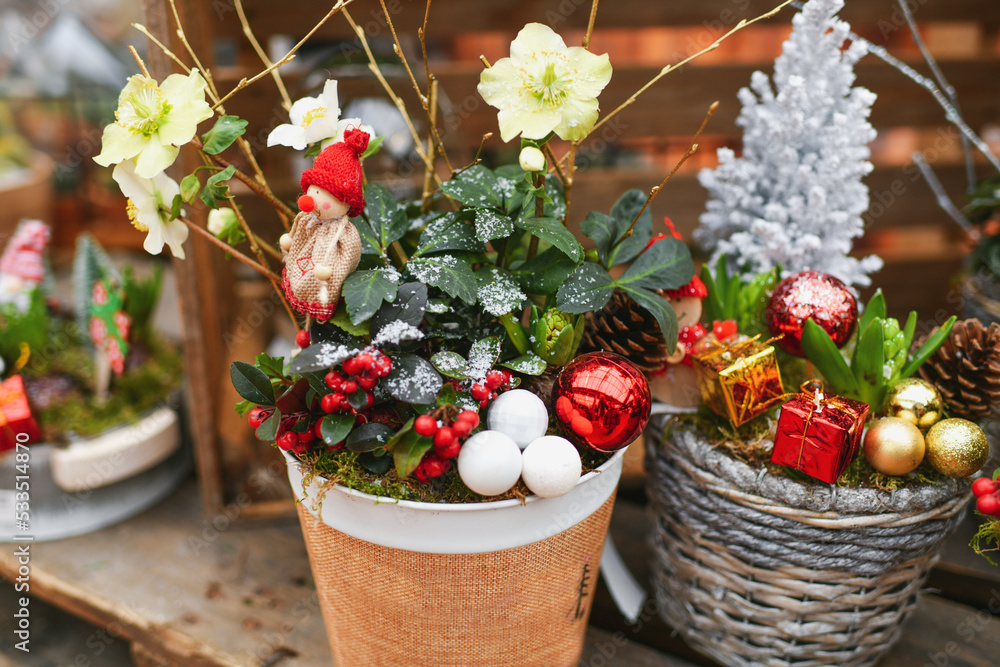 Christmas composition with plants in a pot