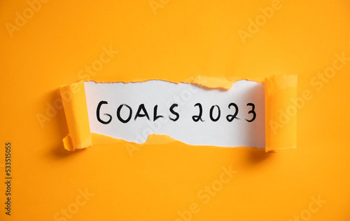goals 2023 on page photo