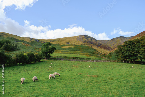 Mountains and sheep farm field view in Cumbria, England, United Kingdom