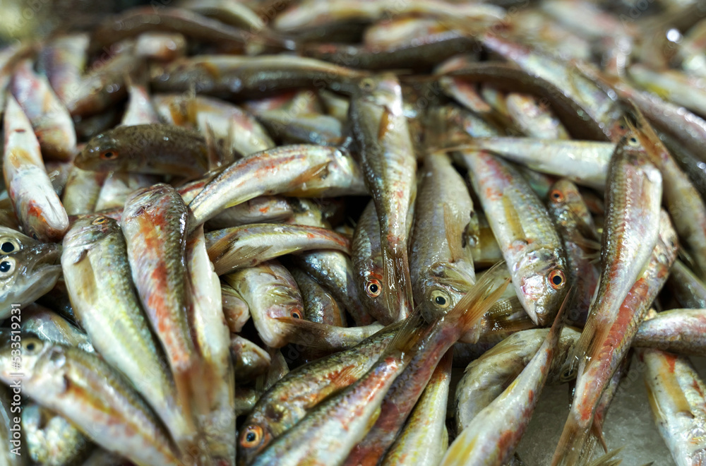 Fresh fish for sale at the fish market. Fresh fish for sale at the fish market.