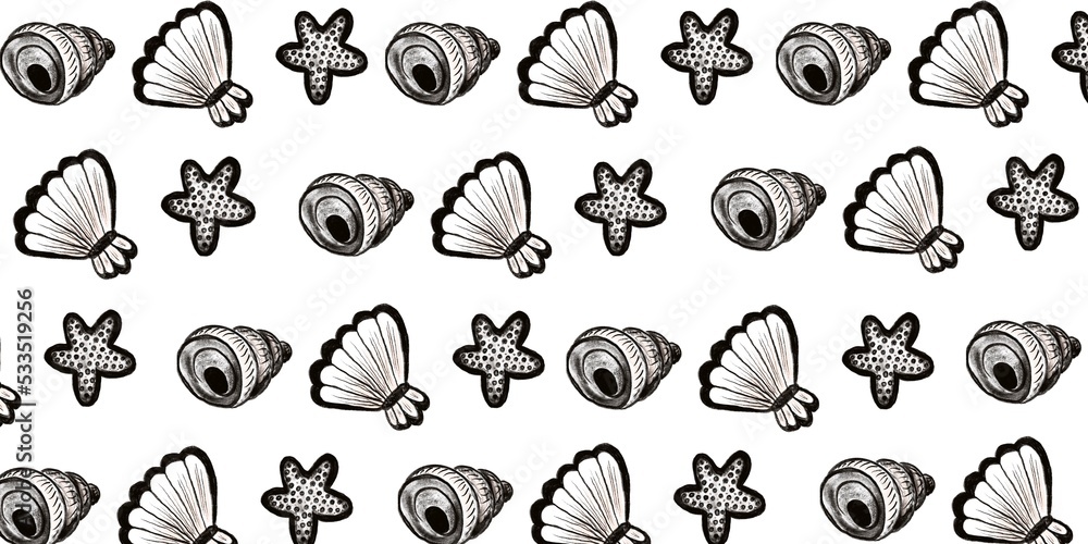 Black and white background with charcoal shells and starfishes Black and white background with charcoal shells and starfishes