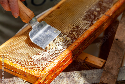 Apiculture - A la miellerie - Gros plan la main d'un apiculteur tenant une herse pour désoperculer les alvéoles contenant le miel dans un cadre de ruche posé sur un extracteur photo