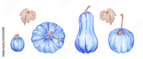 set of watercolor illustrations on the theme of fantasy on the theme of Thanksgiving, blue pumpkins and leaves, stickers and decor, tags, postcard © Stasy