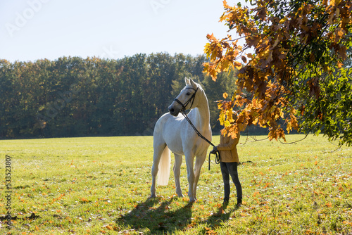 Pferd mit Frau im Herbst © Nadine Haase