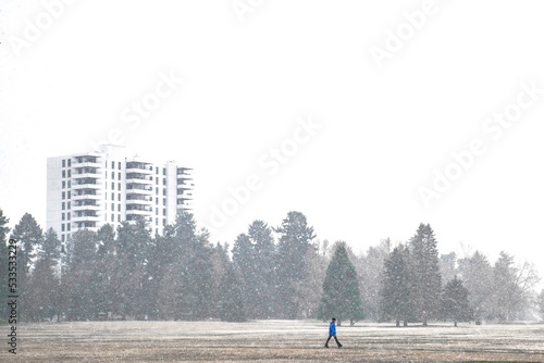 Snowy Walk photo