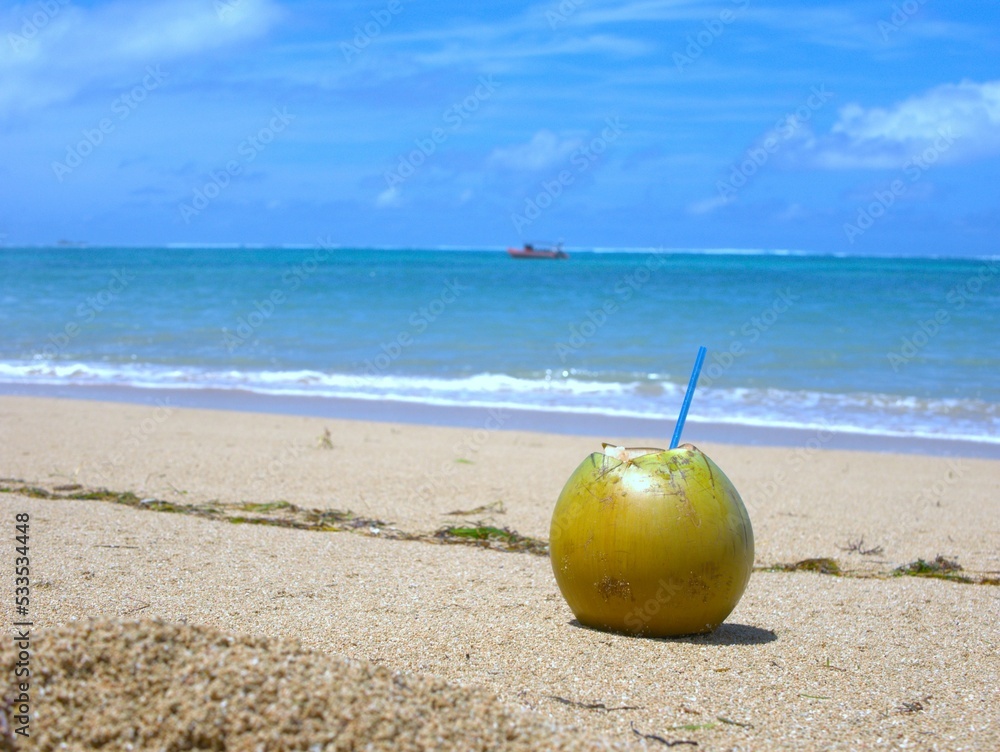 Fresh Coconut Drink at Kuta Mandalika Beach Fresh Coconut Drink at Kuta Mandalika Beach
