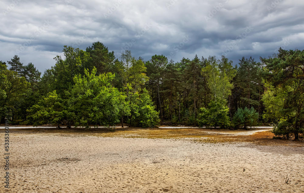 The Sea of Sand in Fontainebleau Forest, France The Sea of Sand in Fontainebleau Forest, France