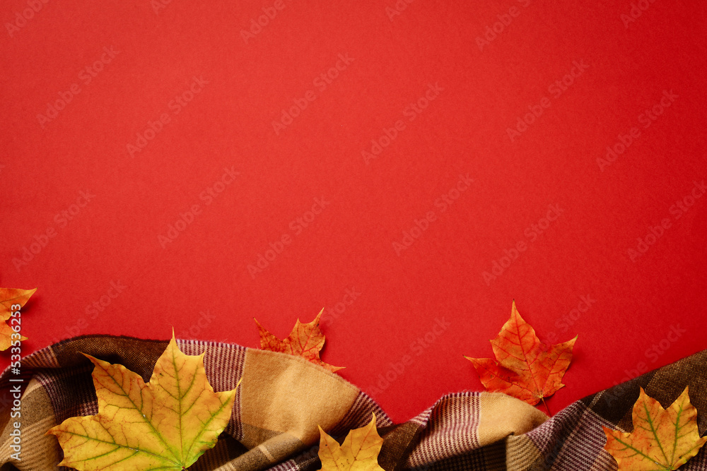 Scarf and maple leaves on red background. Autumn composition. Flat lay, top view, copy space
