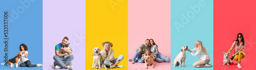 Photography Set of people with dogs on colorful background