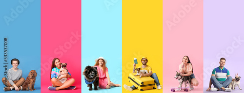 Photography Set of people with their dogs on colorful background
