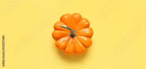 Ripe pumpkin on yellow background, top view