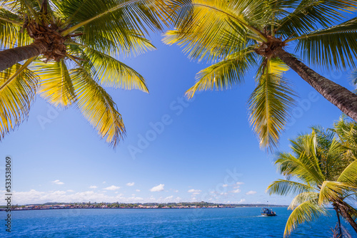 Fototapeta Naklejka Na Ścianę i Meble -  Idyllic Porto Seguro Beach at sunny day with palm trees in BAHIA, Brazil