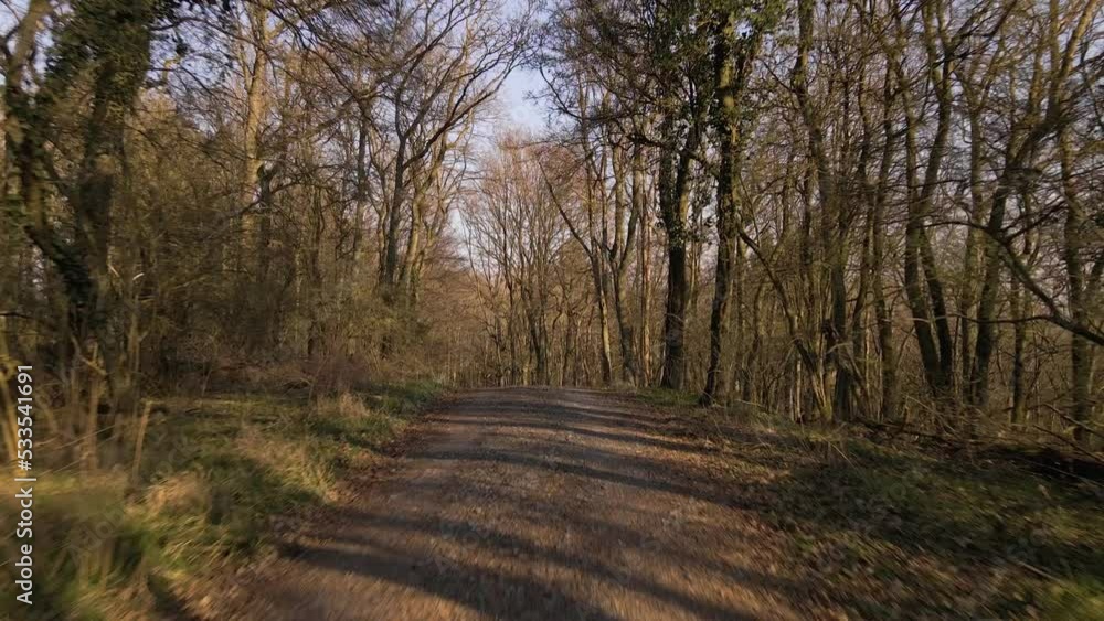 Fly By Shot Of A Young Man Walking Along A Remote Trail Enclosed By Bare Trees Fly By Shot Of A Young Man Walking Along A Remote Trail Enclosed By Bare Trees