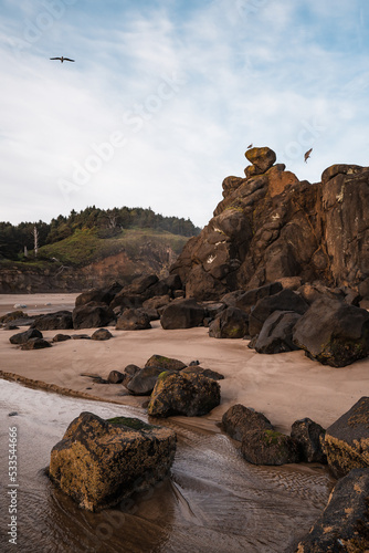 Rocky formations on the Oregon coast.