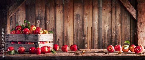 Print op canvas Organic Red Apples In Wooden Crate On Harvest Table With Rustic Barn Background
