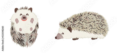 Illustration set of cute smiling hedgehog