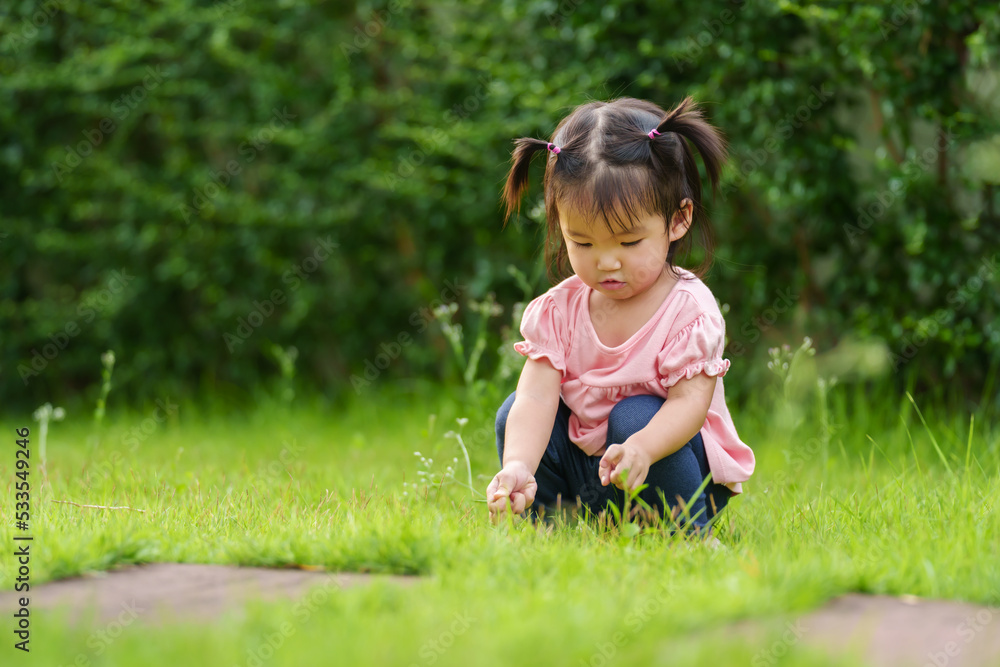 toddler girl sitting and playing grass flower in field toddler girl sitting and playing grass flower in field