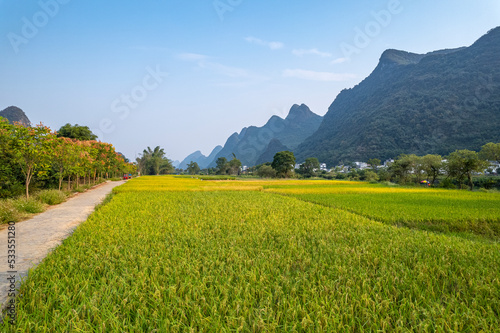 Fototapeta Naklejka Na Ścianę i Meble -  mountain and river and field in Guilin China
