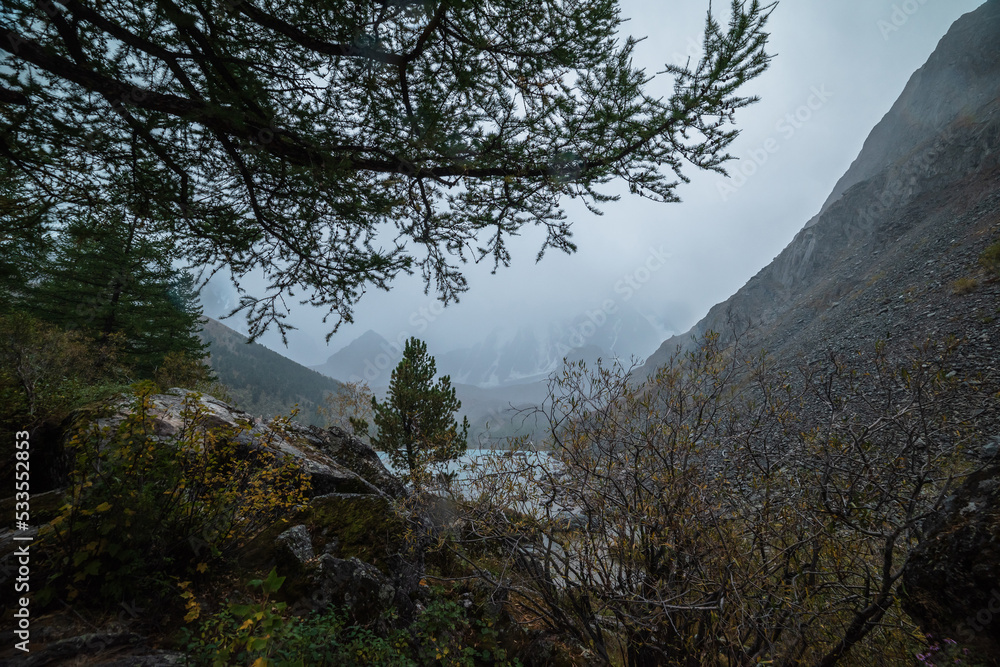 Forest hill with autumn flora against pyramid shaped mountain silhouette during rain. Gloomy view through tree branches to mountain lake and snowy mountains under gray cloudy sky. Fading autumn colors Forest hill with autumn flora against pyramid shaped mountain silhouette during rain. Gloomy view through tree branches to mountain lake and snowy mountains under gray cloudy sky. Fading autumn colors