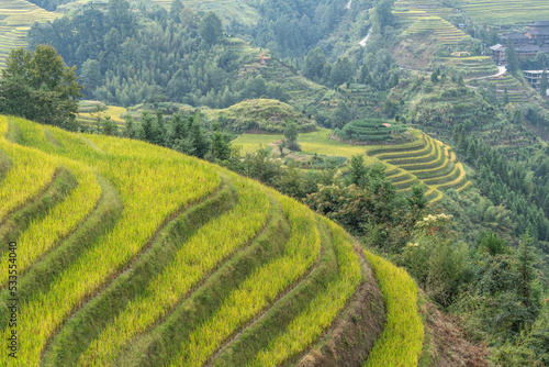 Dragon terraced fields in Guilin Guangxi China © 哲 樊