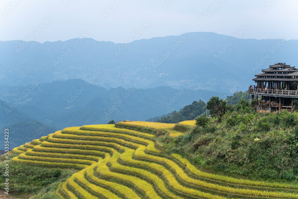 Dragon terraced fields in Guilin Guangxi China