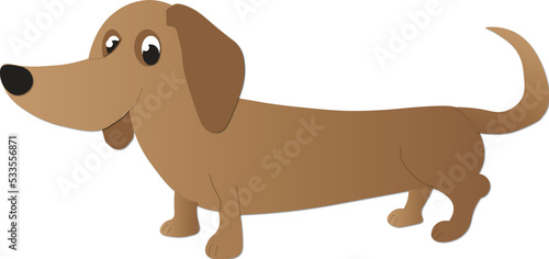 dachshund puppy dog