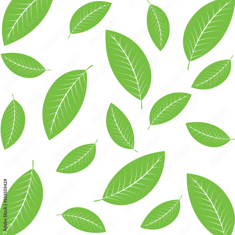 Green tea leaf icon vector