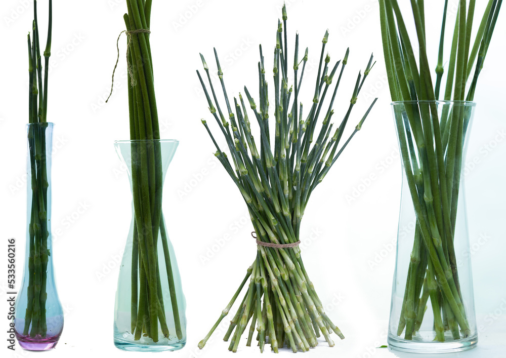 Fototapeta premium Branches of flowers. There are only branches. Many branches are used for decoration.