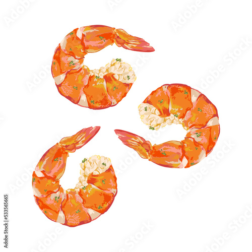 Shrimp tail on white background vector illustration