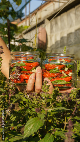 a woman preserves sun-dried tomatoes in sterile jars with chopped garlic and fresh basil in the garden at sunset. hands close-up, rich harvest, organic natural products, preparations for the winter