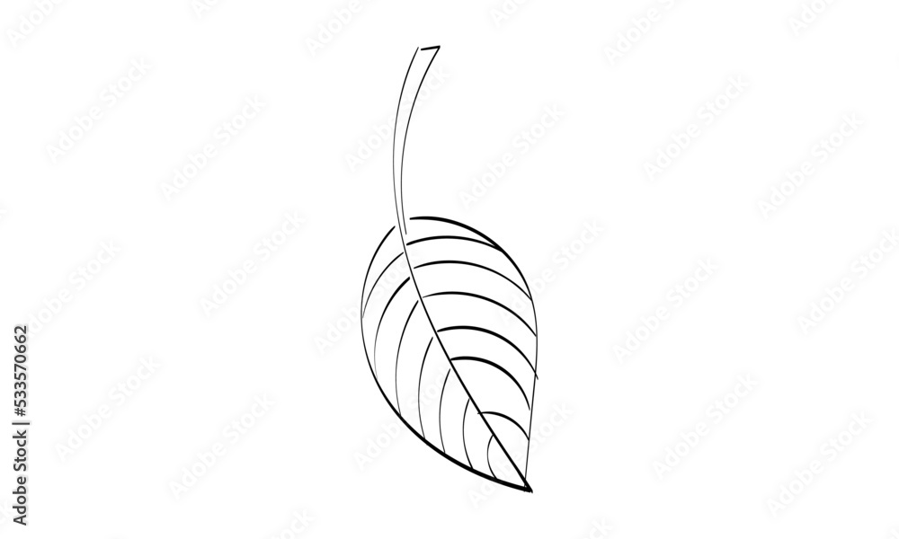 Autumn Leaf Design. Season nature ornament garden decoration. Idea for picture in frame, ornament, autumn holidays. Isolated vector illustrations with white backgrounds. Logo, icons, Decoration. Autumn Leaf Design. Season nature ornament garden decoration. Idea for picture in frame, ornament, autumn holidays. Isolated vector illustrations with white backgrounds. Logo, icons, Decoration.