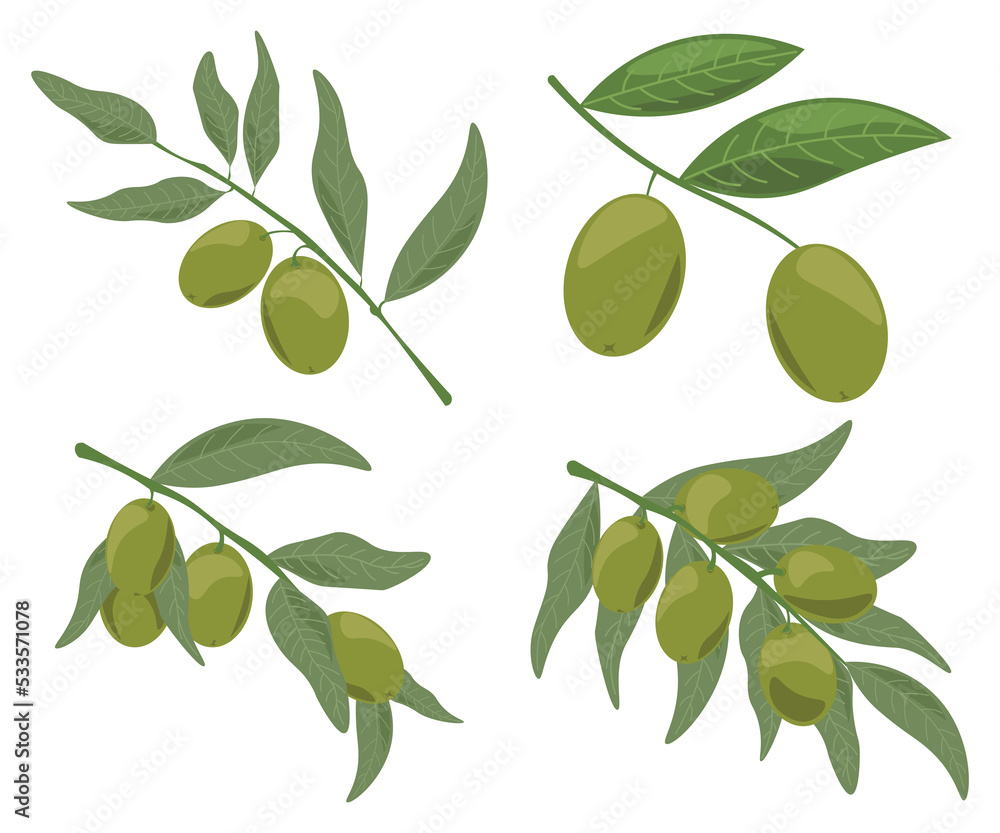 olive festival healthy food set of olives on a branch