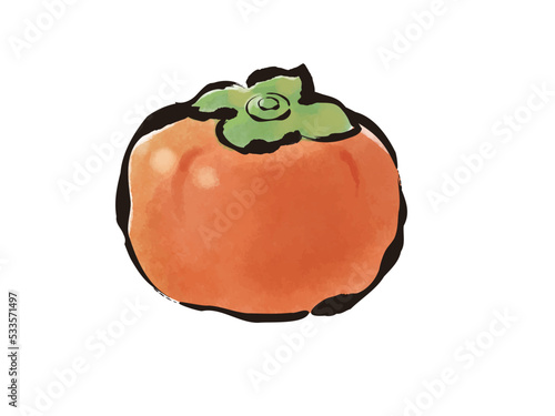 柿　和風　手描き　筆タッチ　イラスト