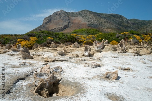 Petrified Forest of Cavomalias, Cape Malea, Laconia, Peloponnese, Greece, Europe photo