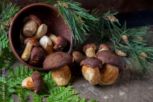 Imleria Badia or Boletus badius mushrooms commonly known as the bay bolete and clay bowl with mushrooms on vintage wooden background.