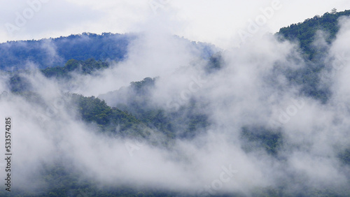 Fog flow through Khaoyai National Park mountain valley in the morning light during rainy season, Thailand