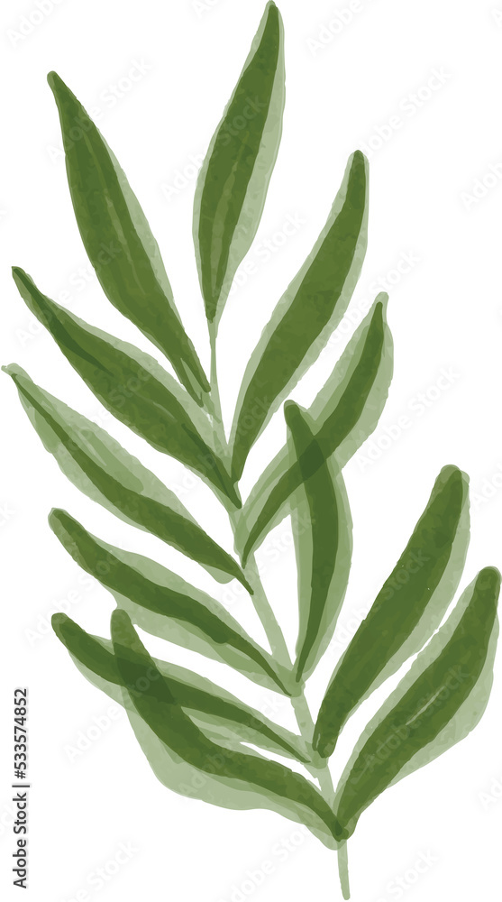 aloe vera leaves