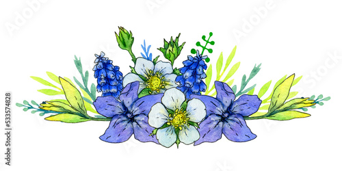 composition of watercolor flowers and leaves of periwinkle, muscari, wild strawberry on a white background. © Anna