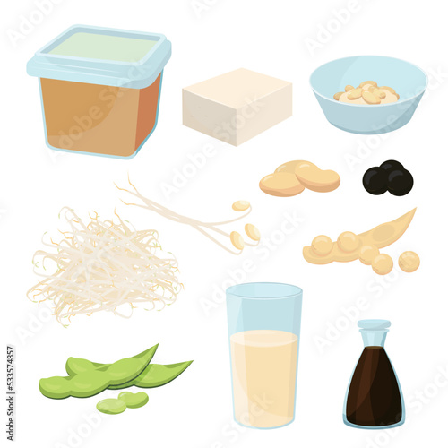 Vector illustration of different soy products. These are edamame, soybeans, soymilk, miso, black soybeans, natto, soy sauce, bean sprouts, and tofu.