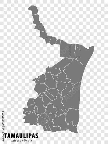 State Tamaulipas of Mexico map on transparent background. Blank map of  Tamaulipas with  regions in gray for your web site design, logo, app, UI. Mexico. EPS10. photo