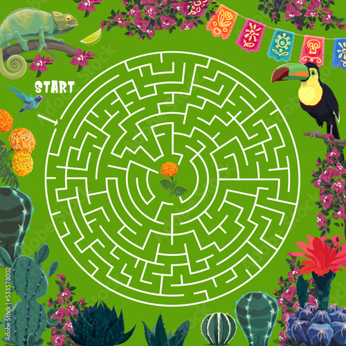 Labyrinth maze game. Mexican cactuses, toucan, chameleon, hummingbird and flowers. Riddle, vector puzzle or quiz with search way activity, finding path task and mexican flora plants and fauna animals