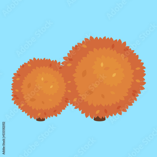 Autumn trimmed bushes in the shape of a ball, illustration, vector