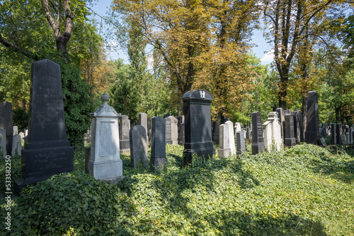 Nuovo cimitero ebraico photo