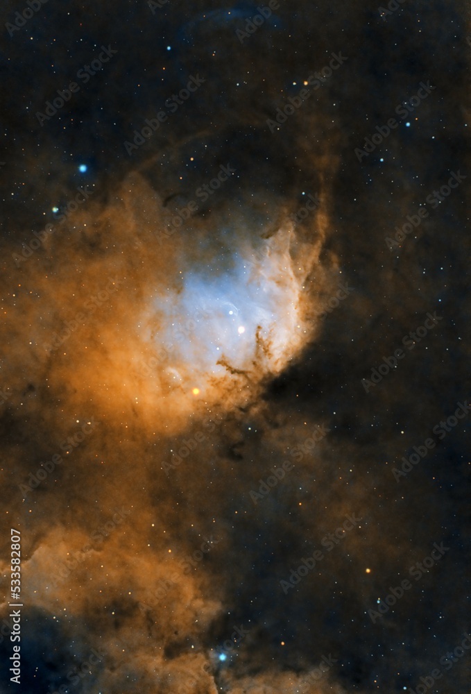 Fototapeta premium tulip nebula